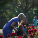 Care and Roses by Gareth Williams