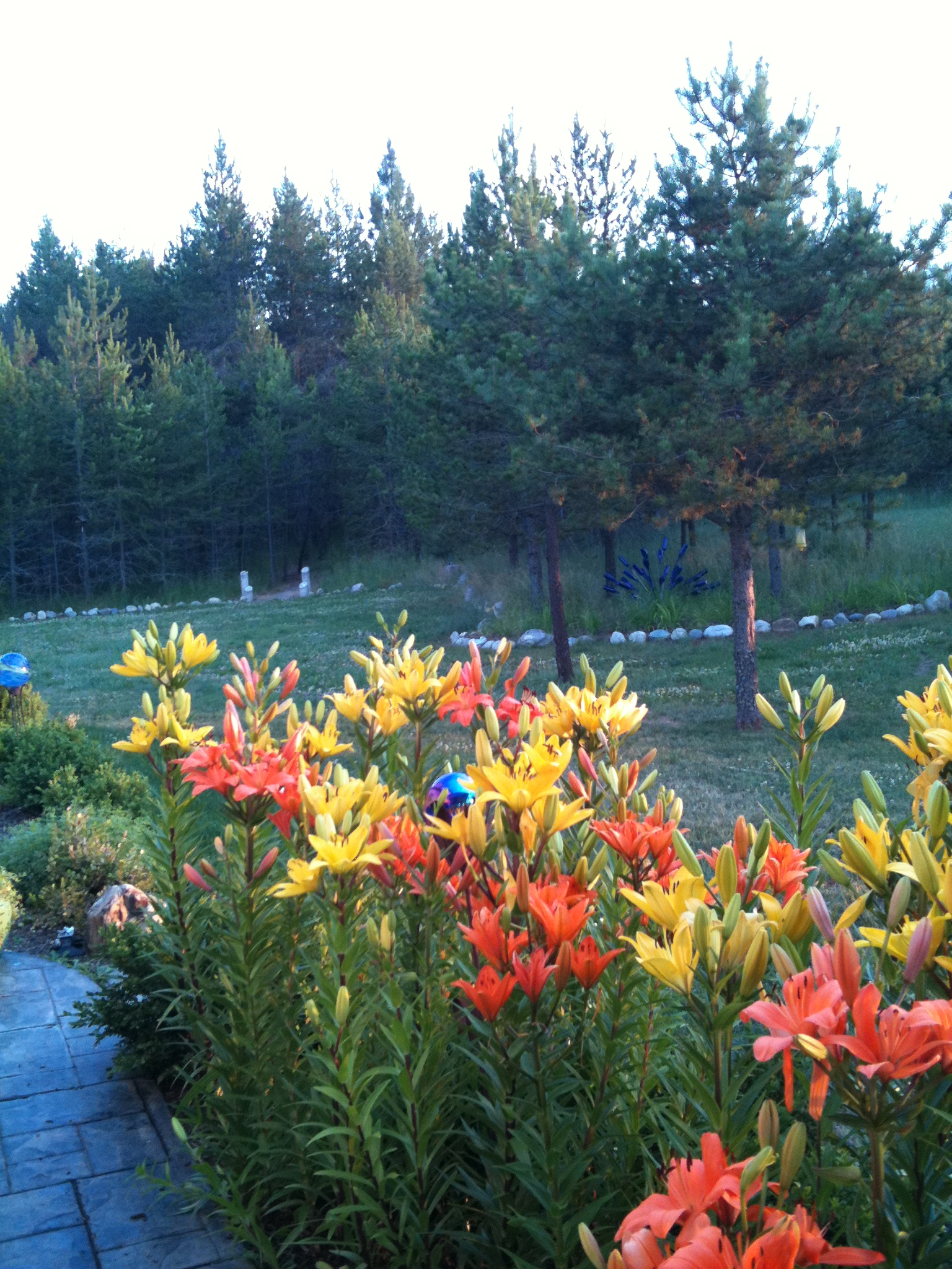 Making The Garden Elder Friendly Meaningful Midlife