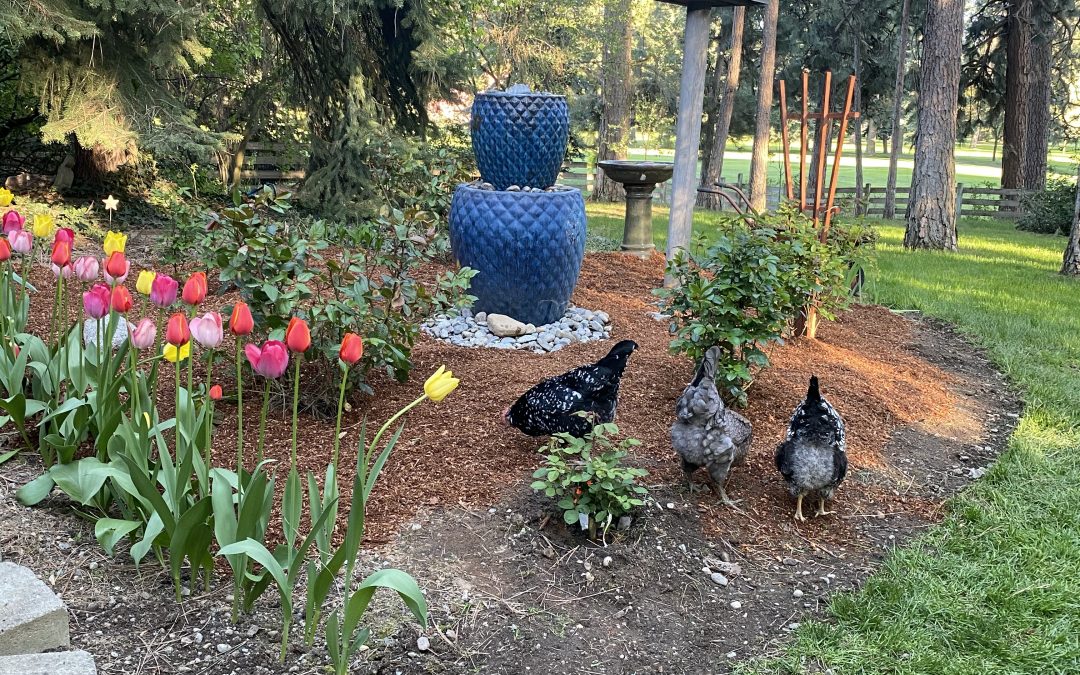 How to Make a DIY Bubbling Water Fountain Meaningful Midlife